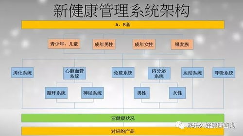 自主健康管理体系