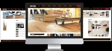 易龙天案例 一站式电商与ERP系统开发解决方案